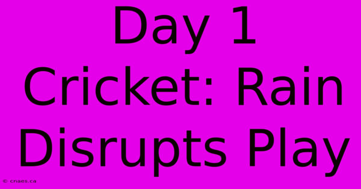 Day 1 Cricket: Rain Disrupts Play