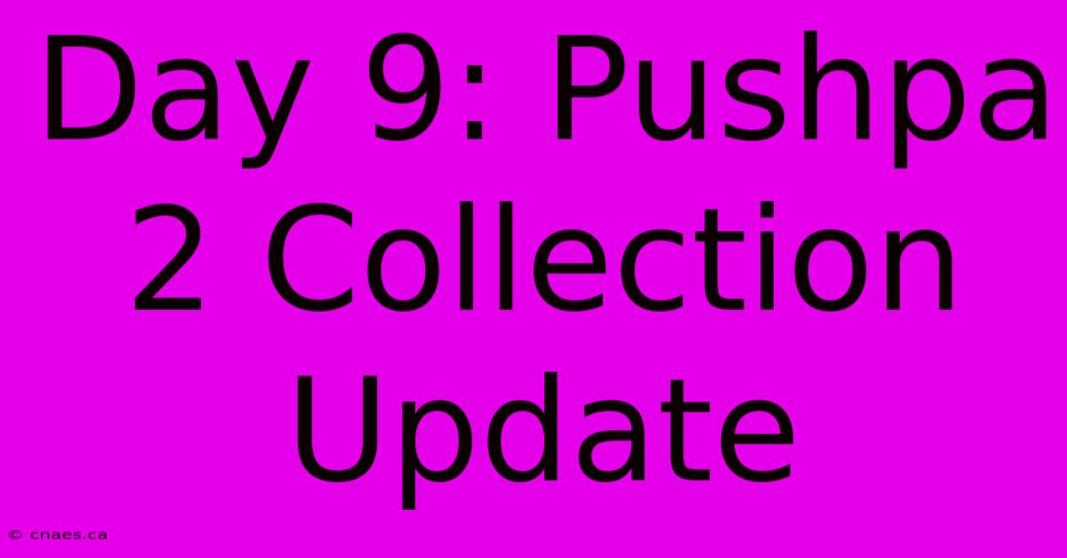 Day 9: Pushpa 2 Collection Update