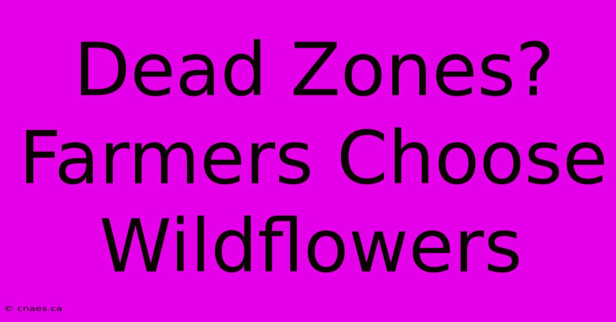 Dead Zones? Farmers Choose Wildflowers