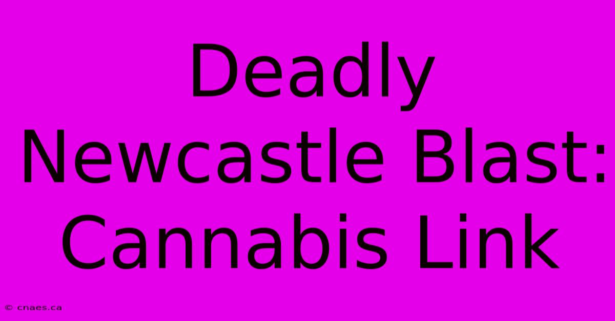 Deadly Newcastle Blast: Cannabis Link