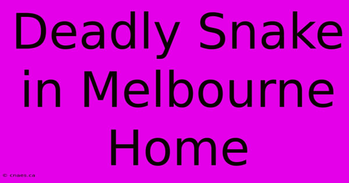 Deadly Snake In Melbourne Home