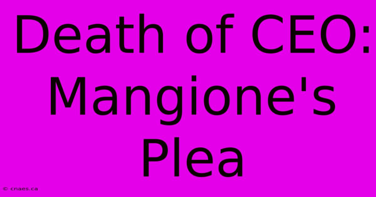 Death Of CEO: Mangione's Plea