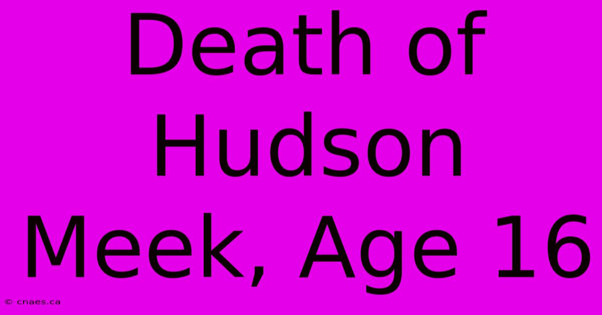 Death Of Hudson Meek, Age 16