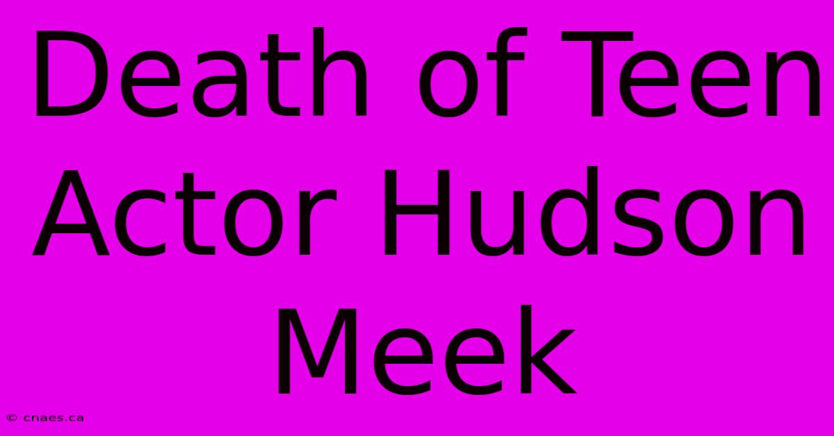 Death Of Teen Actor Hudson Meek