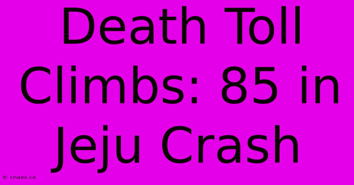 Death Toll Climbs: 85 In Jeju Crash