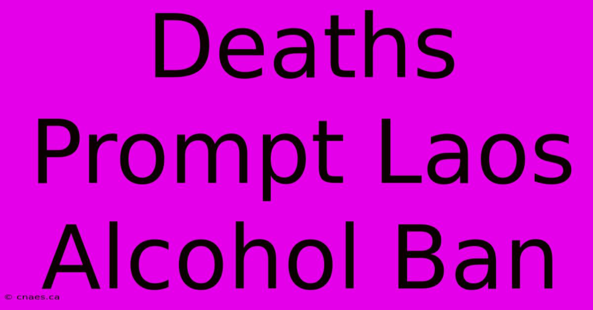 Deaths Prompt Laos Alcohol Ban