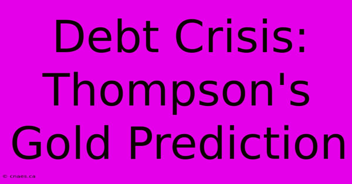 Debt Crisis: Thompson's Gold Prediction