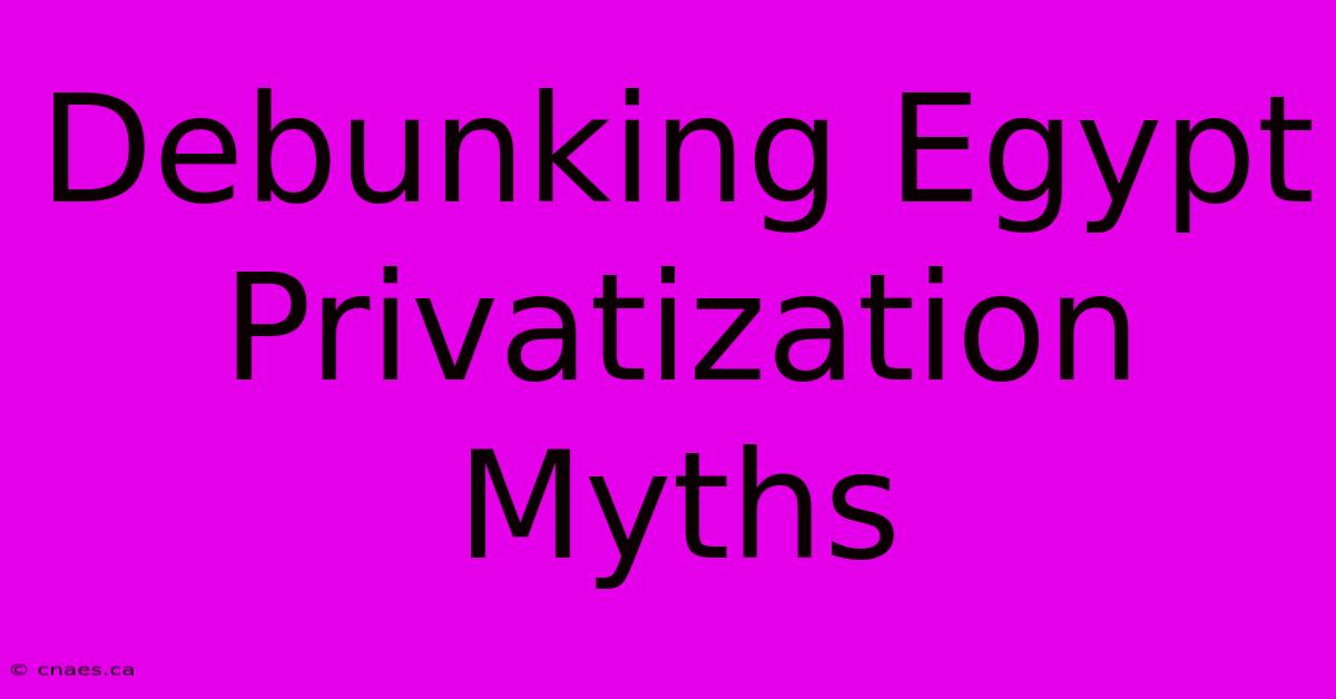 Debunking Egypt Privatization Myths