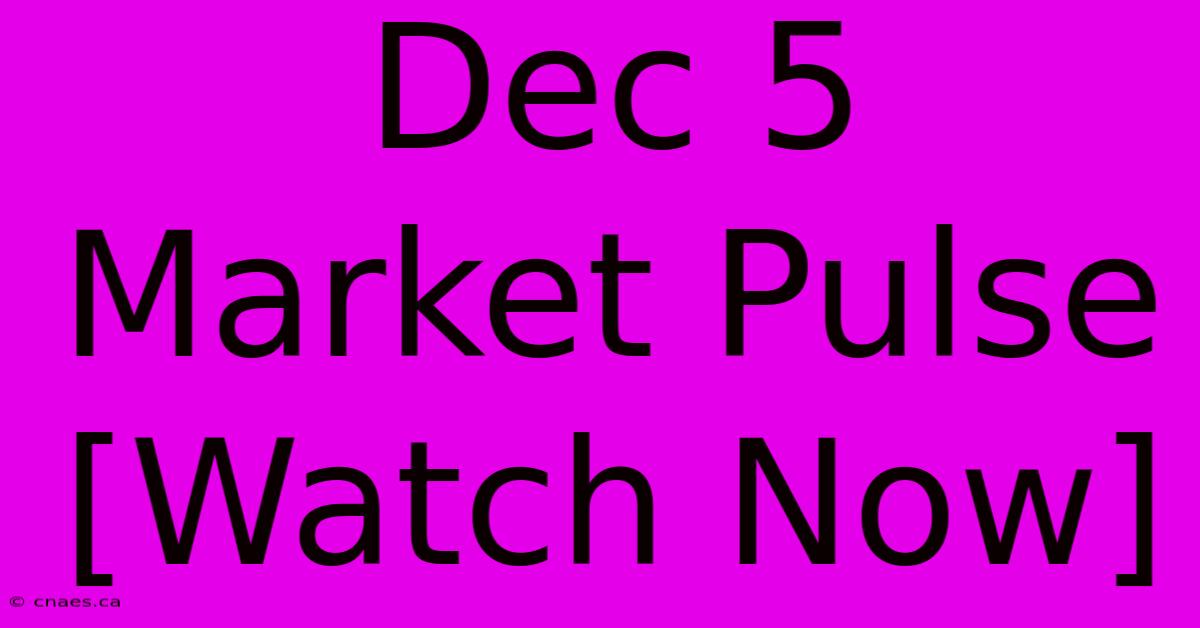 Dec 5 Market Pulse [Watch Now]