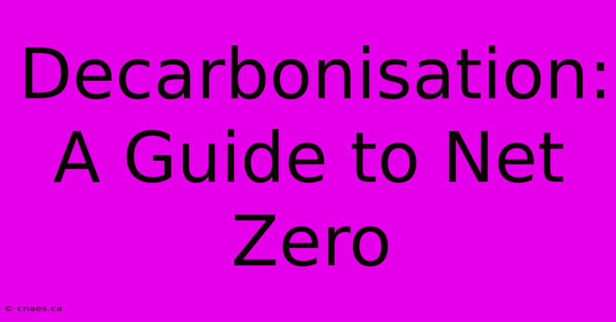 Decarbonisation: A Guide To Net Zero