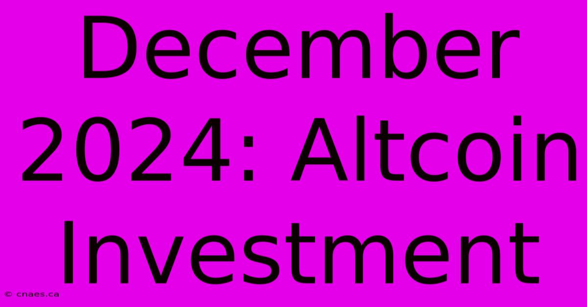 December 2024: Altcoin Investment