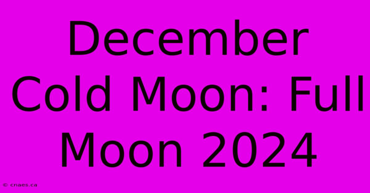 December Cold Moon: Full Moon 2024