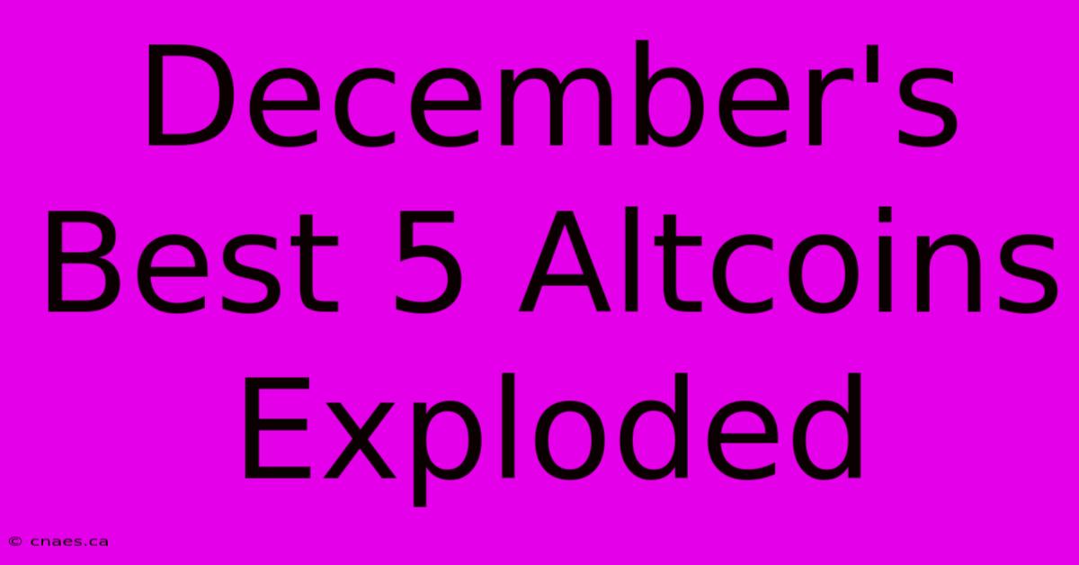 December's Best 5 Altcoins Exploded