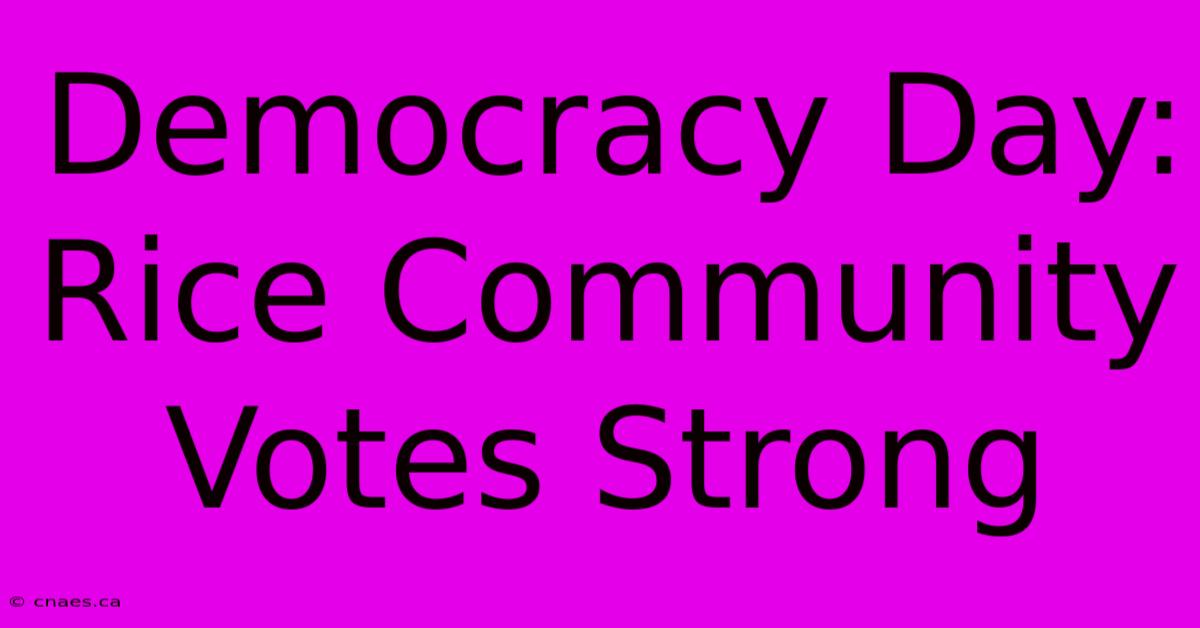 Democracy Day: Rice Community Votes Strong