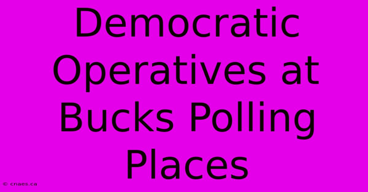 Democratic Operatives At Bucks Polling Places