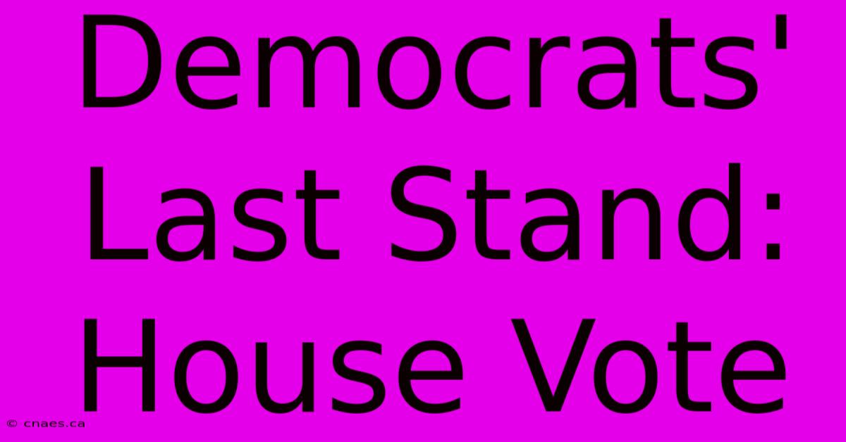 Democrats' Last Stand: House Vote