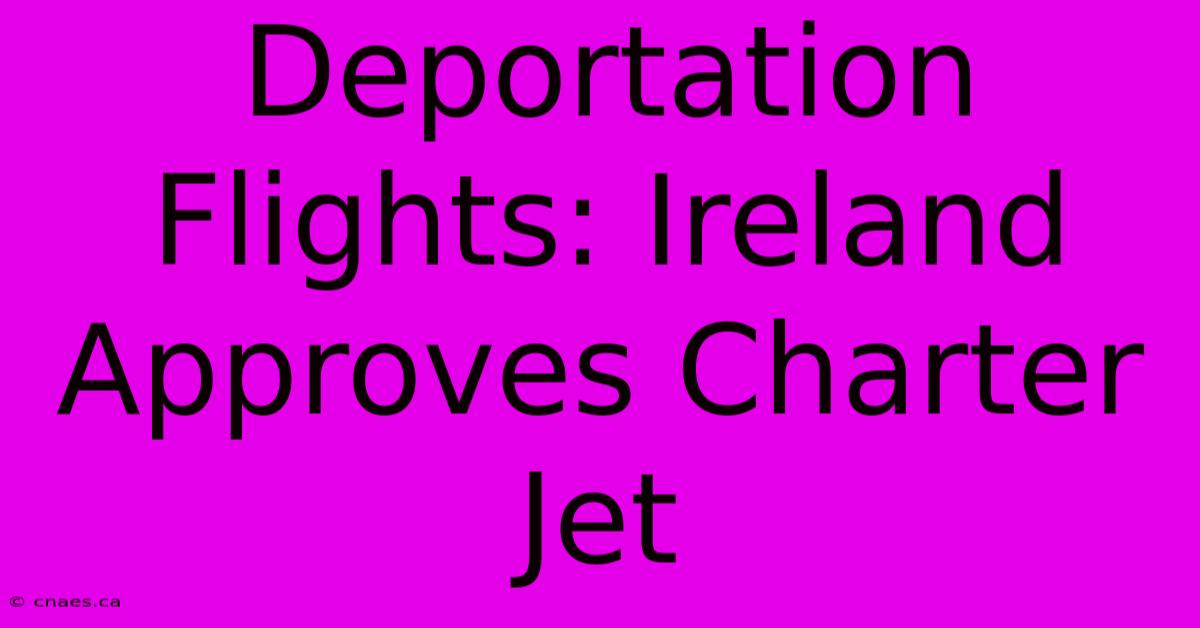 Deportation Flights: Ireland Approves Charter Jet