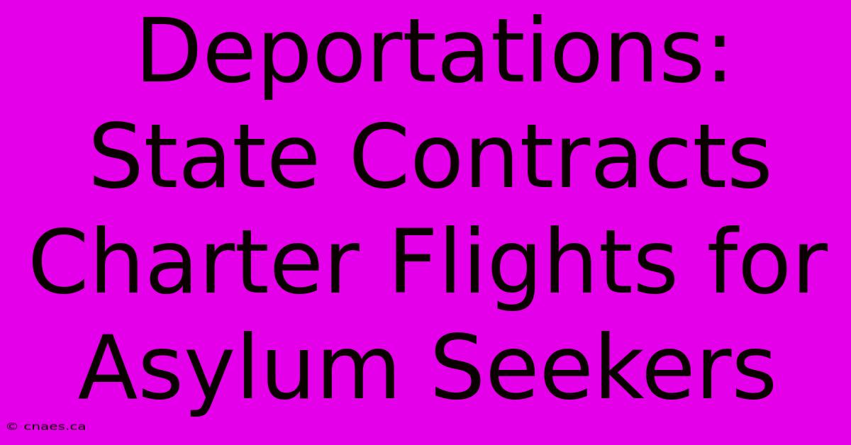 Deportations: State Contracts Charter Flights For Asylum Seekers 