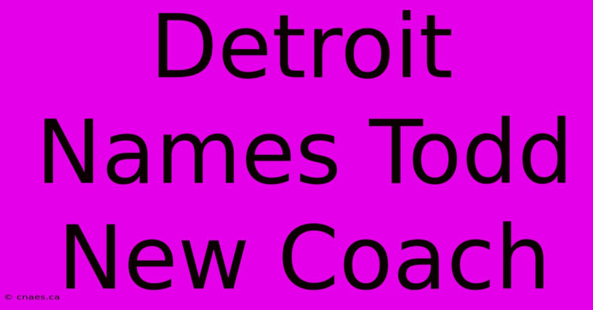 Detroit Names Todd New Coach