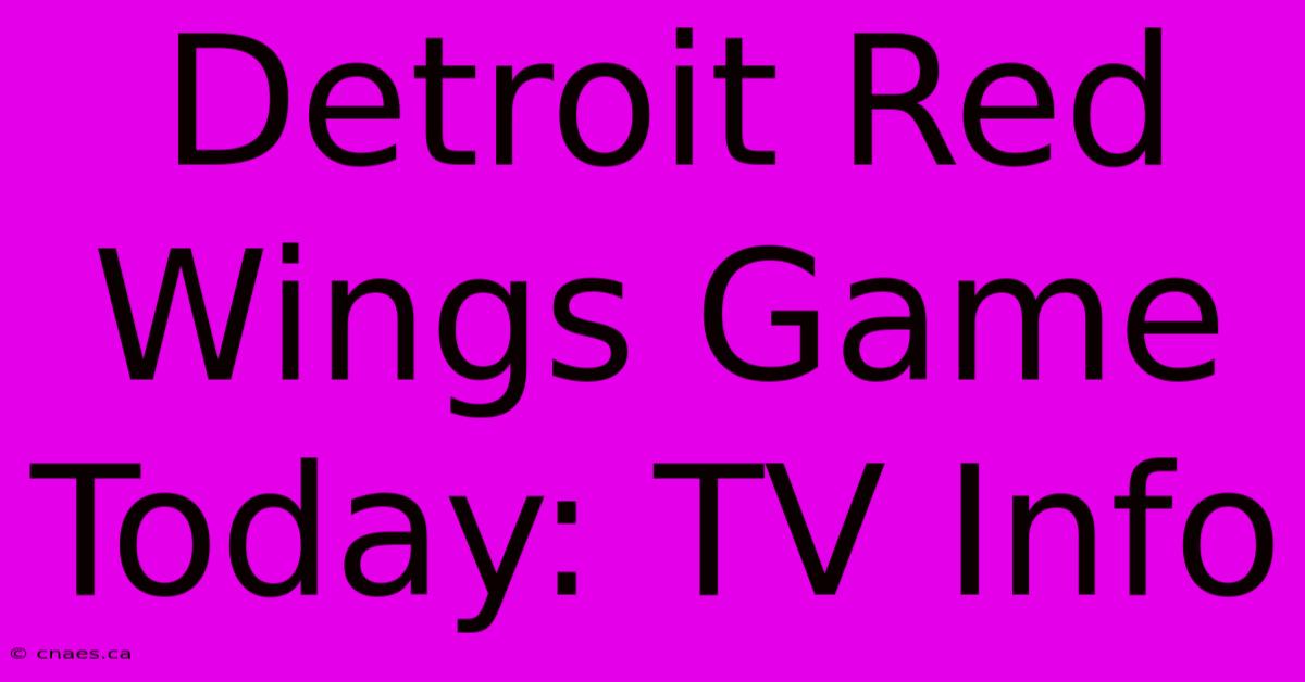 Detroit Red Wings Game Today: TV Info