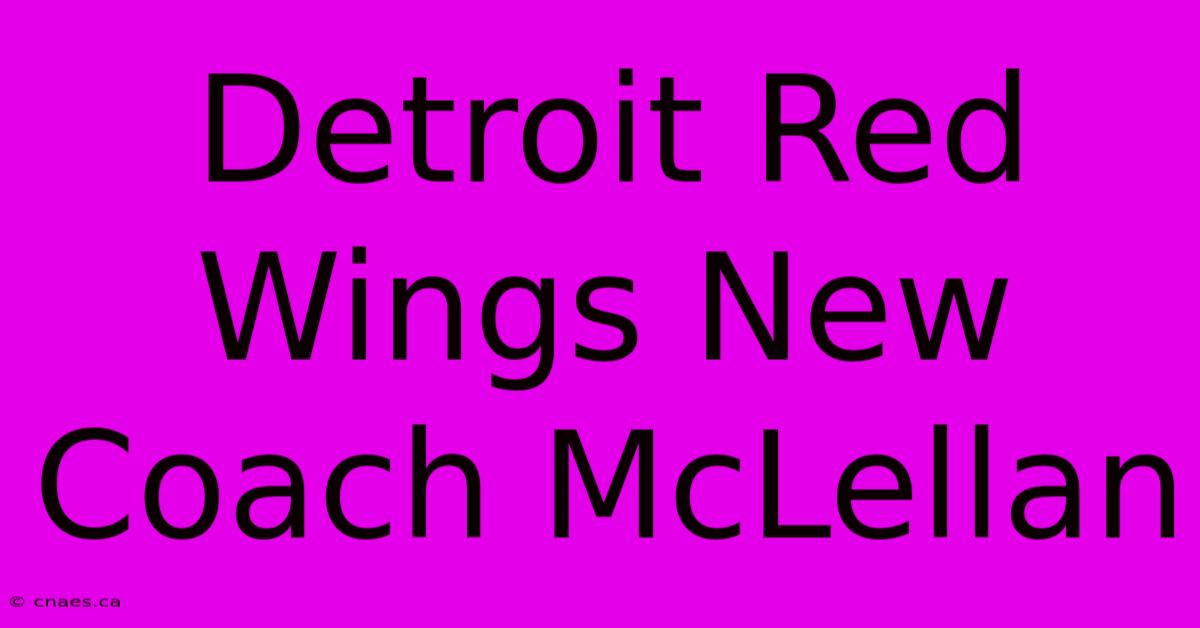 Detroit Red Wings New Coach McLellan