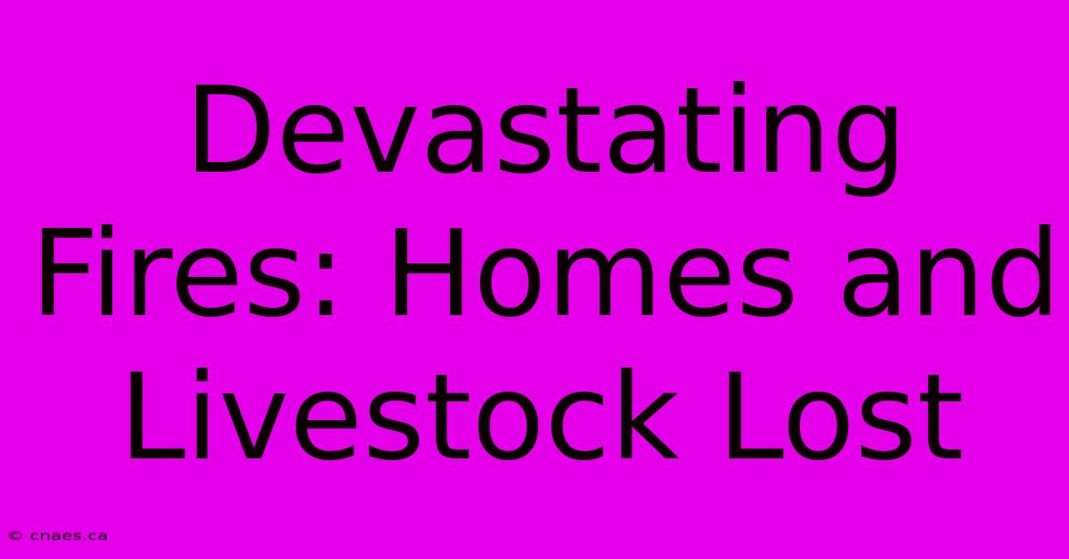 Devastating Fires: Homes And Livestock Lost