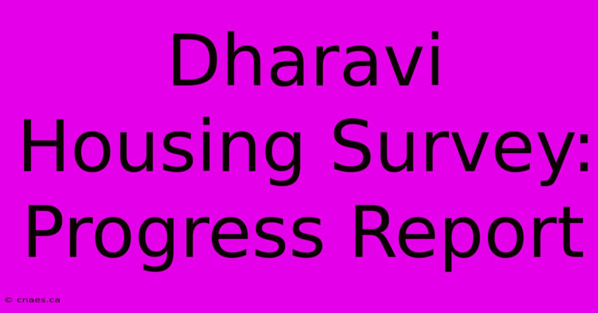 Dharavi Housing Survey: Progress Report