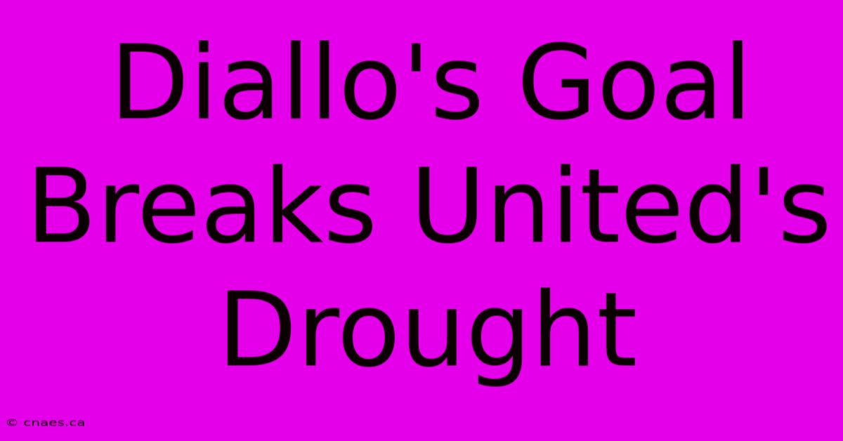 Diallo's Goal Breaks United's Drought