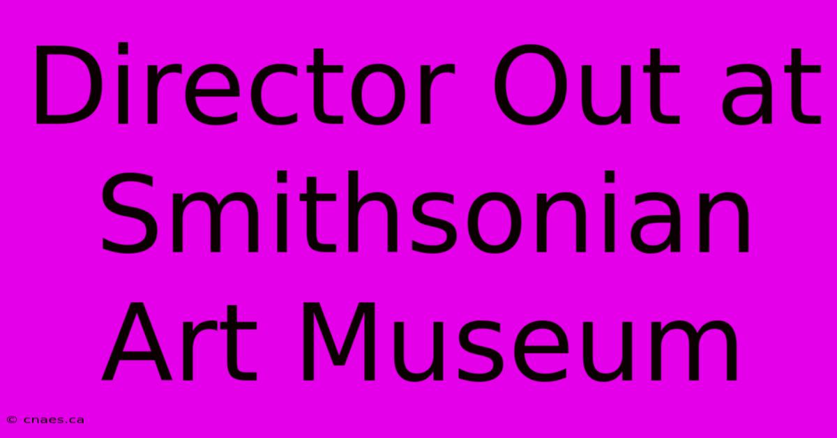 Director Out At Smithsonian Art Museum