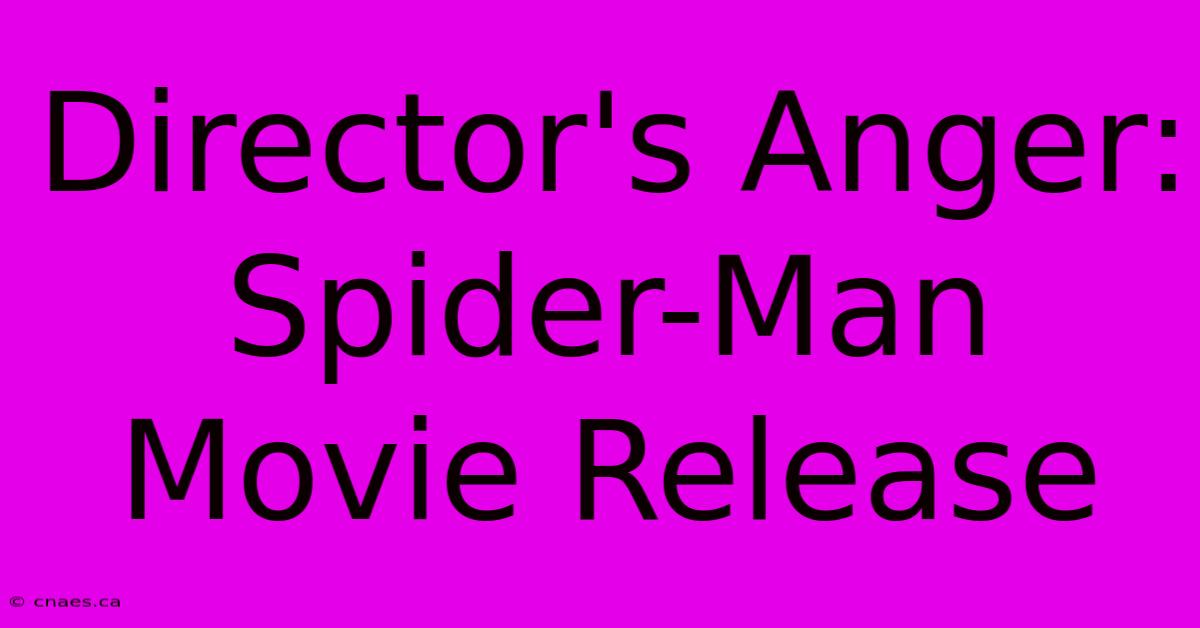 Director's Anger: Spider-Man Movie Release