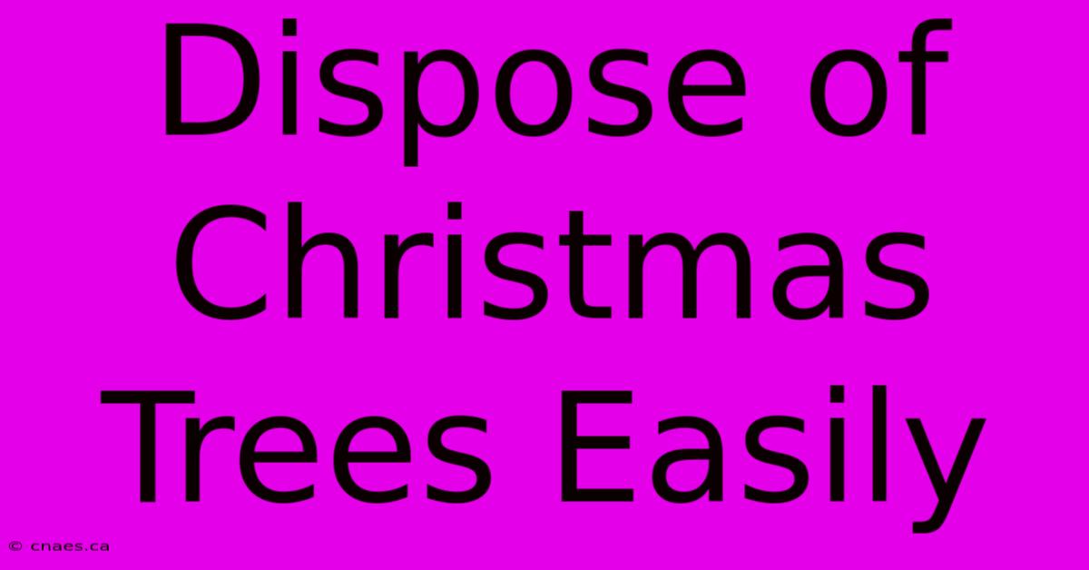 Dispose Of Christmas Trees Easily