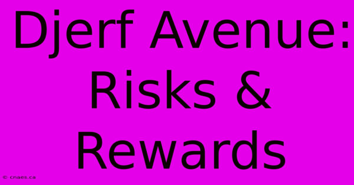 Djerf Avenue: Risks & Rewards