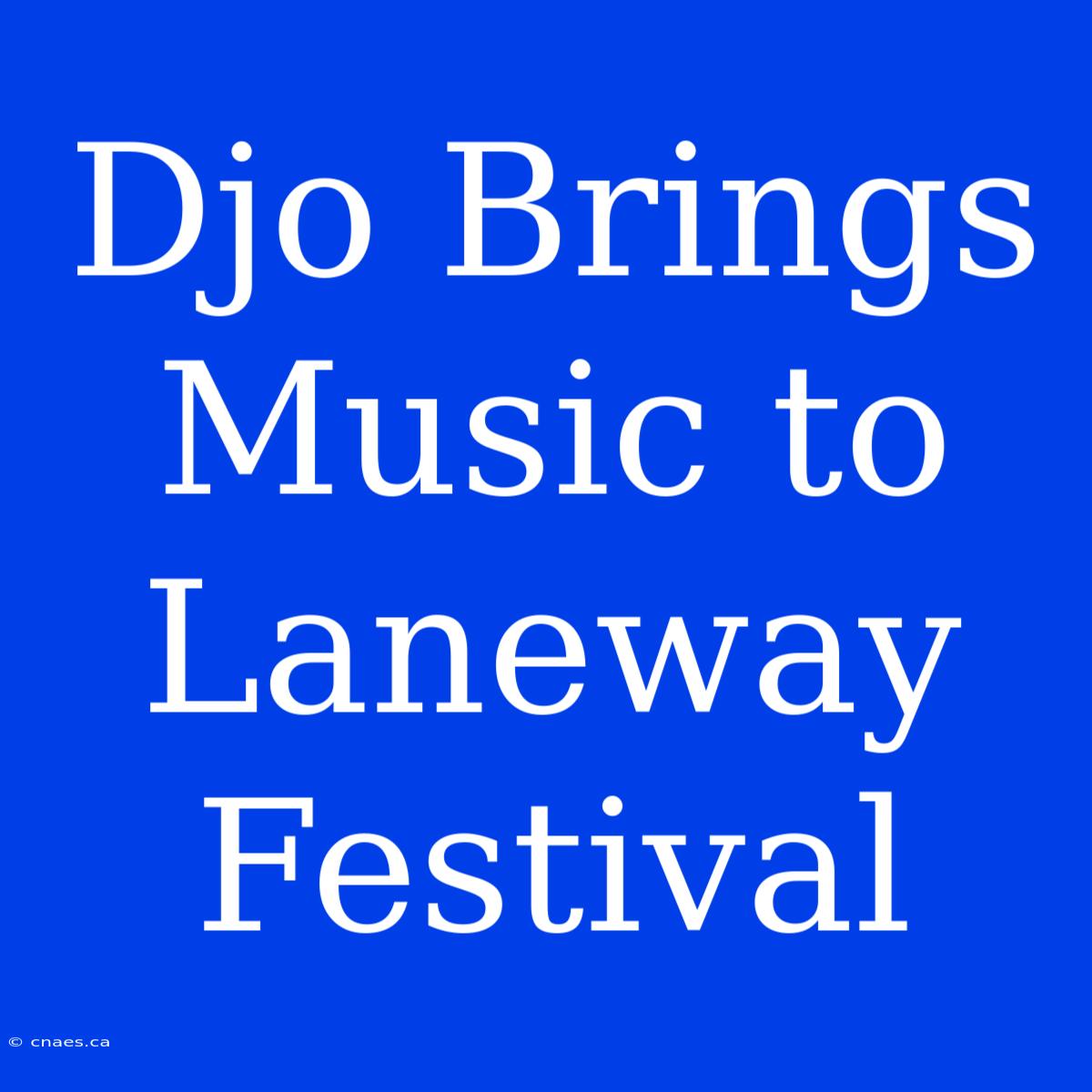 Djo Brings Music To Laneway Festival