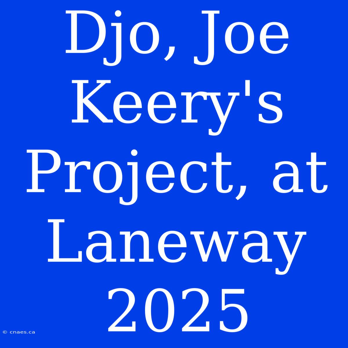 Djo, Joe Keery's Project, At Laneway 2025