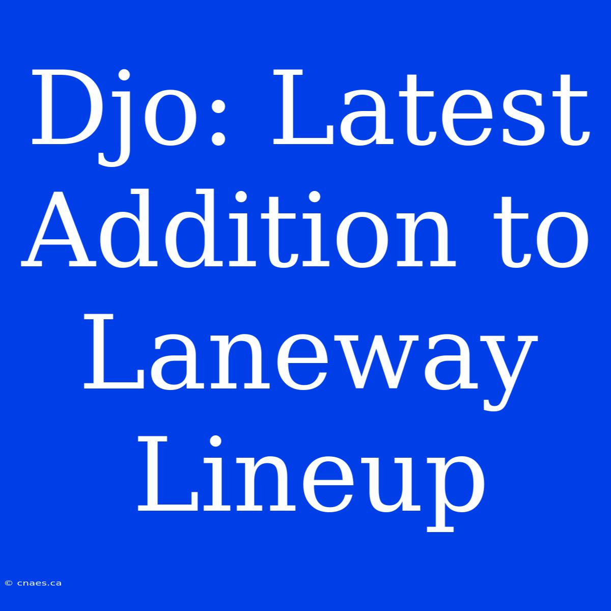 Djo: Latest Addition To Laneway Lineup