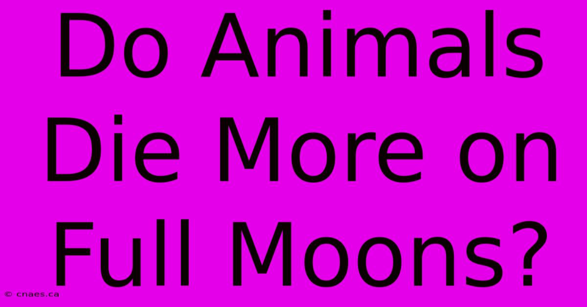 Do Animals Die More On Full Moons?