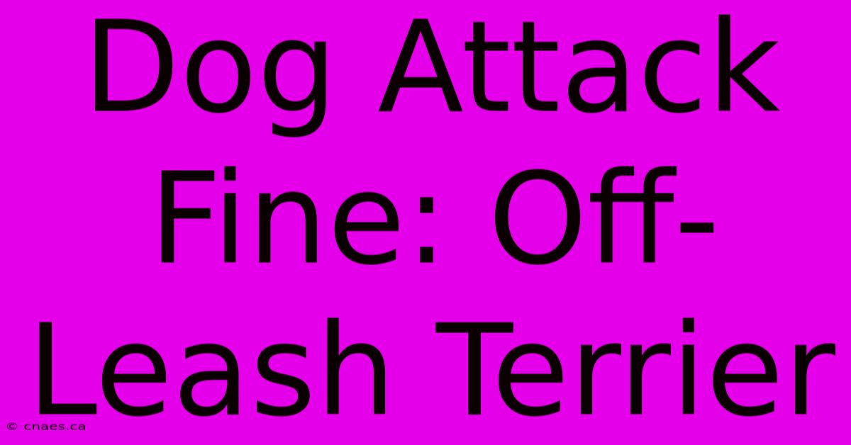 Dog Attack Fine: Off-Leash Terrier