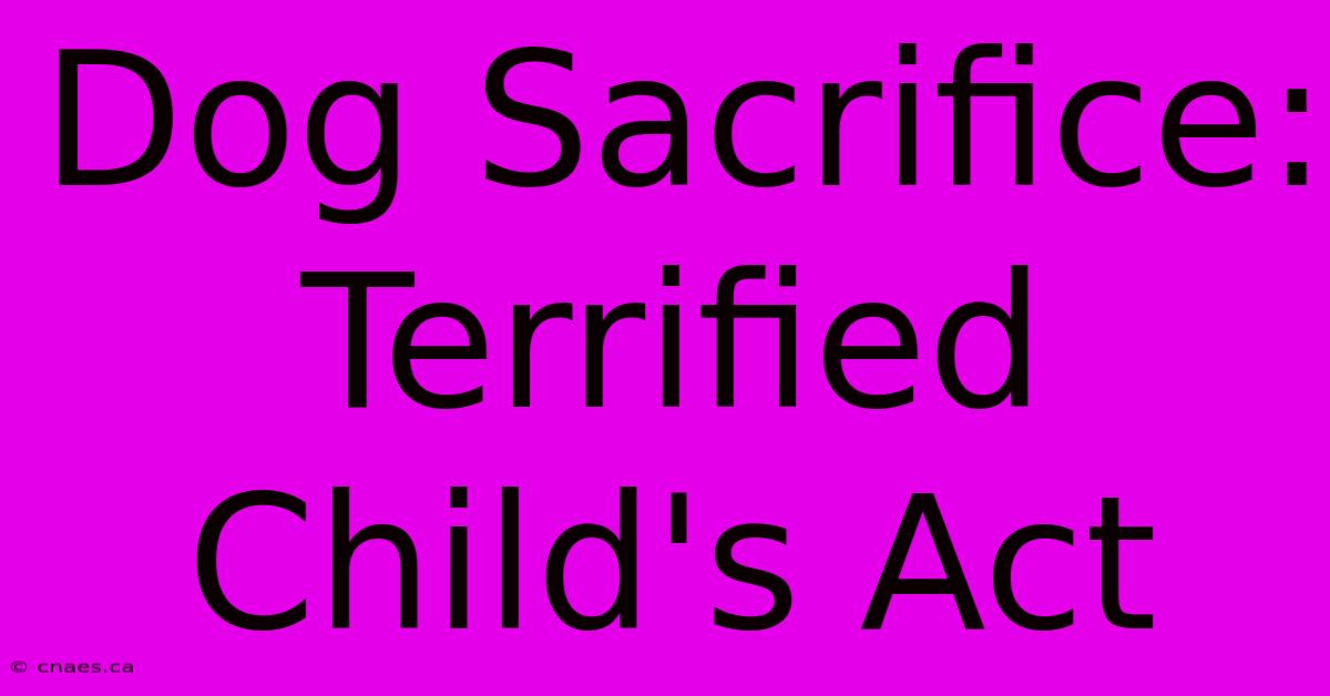 Dog Sacrifice: Terrified Child's Act