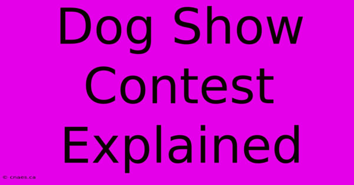 Dog Show Contest Explained