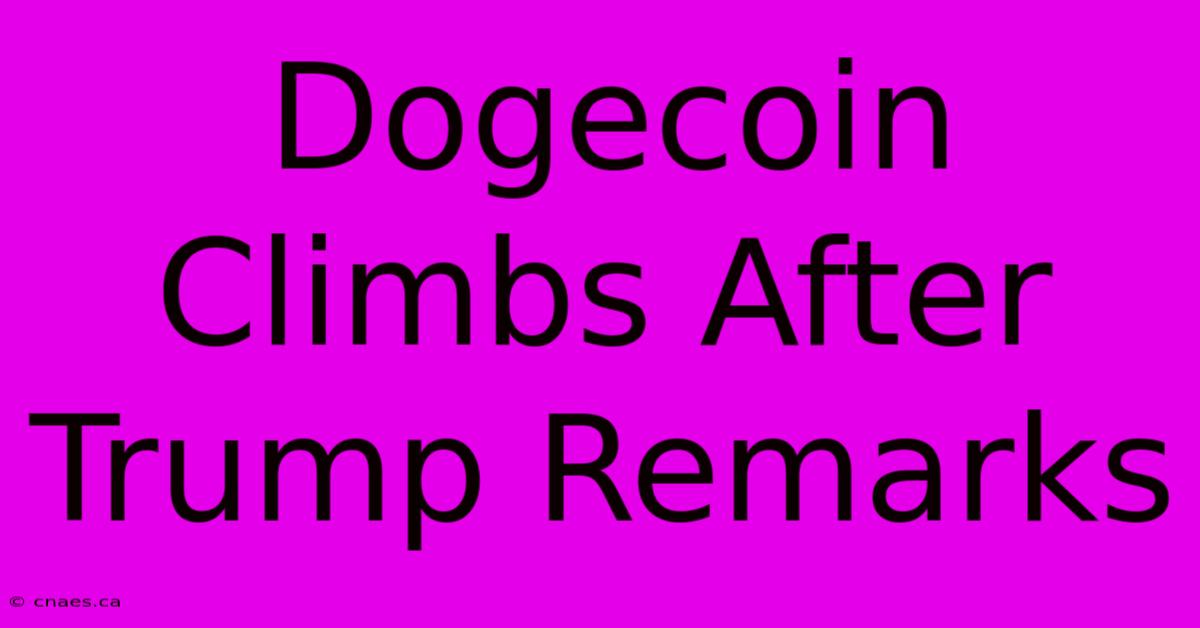 Dogecoin Climbs After Trump Remarks 