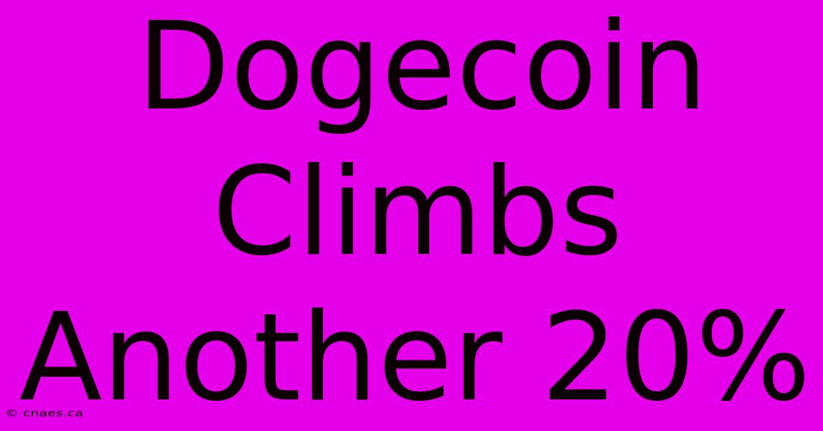 Dogecoin Climbs Another 20%