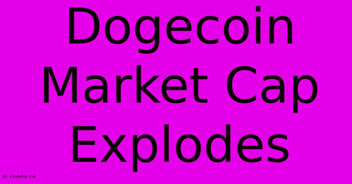 Dogecoin Market Cap Explodes