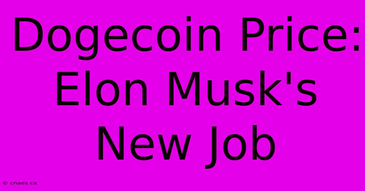 Dogecoin Price: Elon Musk's New Job