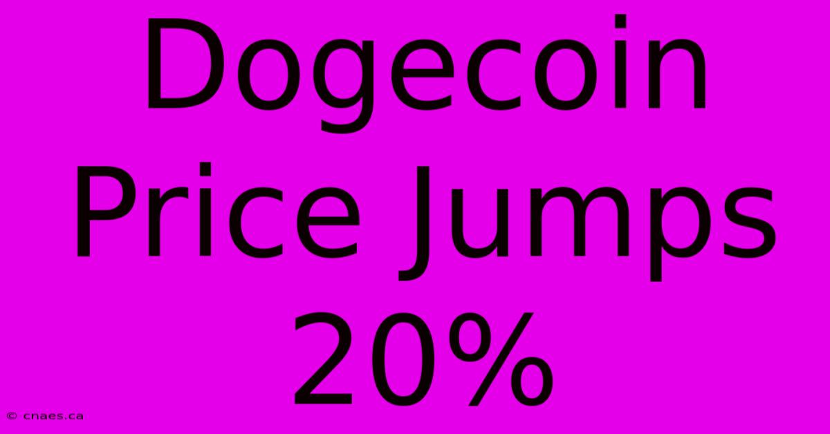 Dogecoin Price Jumps 20% 