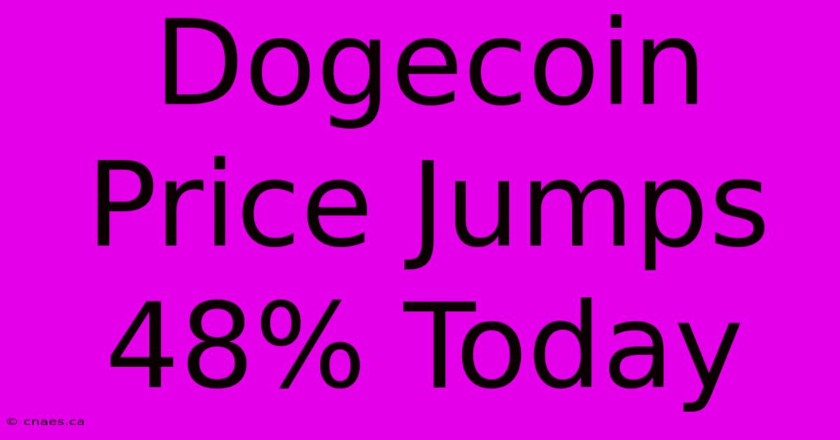 Dogecoin Price Jumps 48% Today