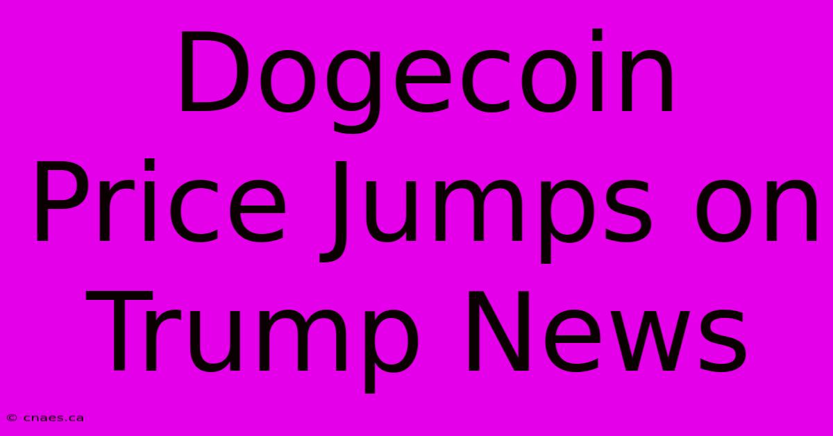 Dogecoin Price Jumps On Trump News