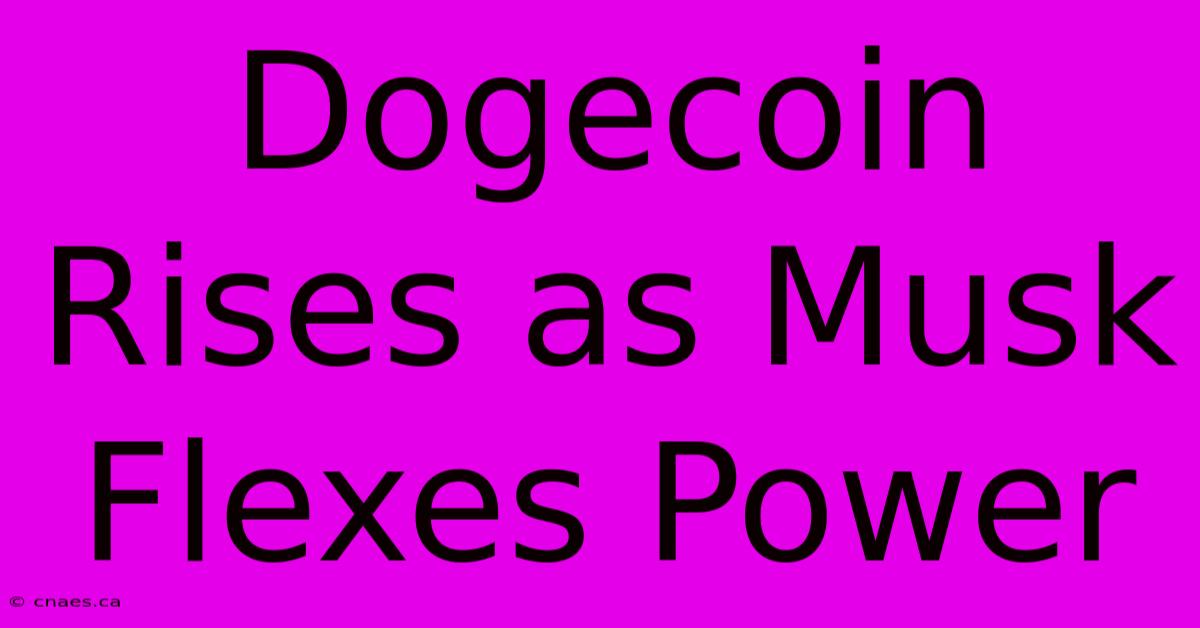 Dogecoin Rises As Musk Flexes Power