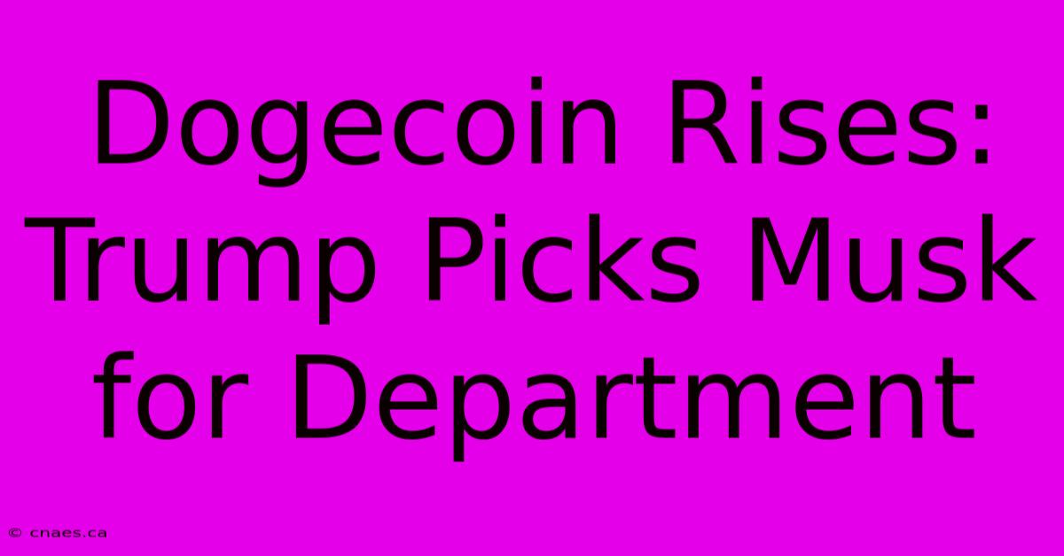 Dogecoin Rises: Trump Picks Musk For Department