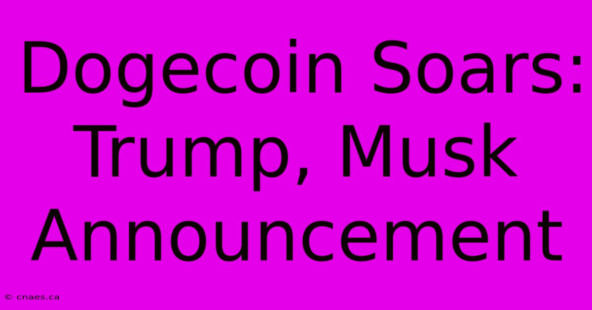 Dogecoin Soars: Trump, Musk Announcement