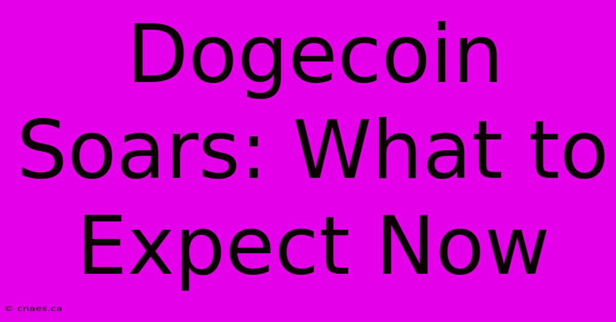 Dogecoin Soars: What To Expect Now 